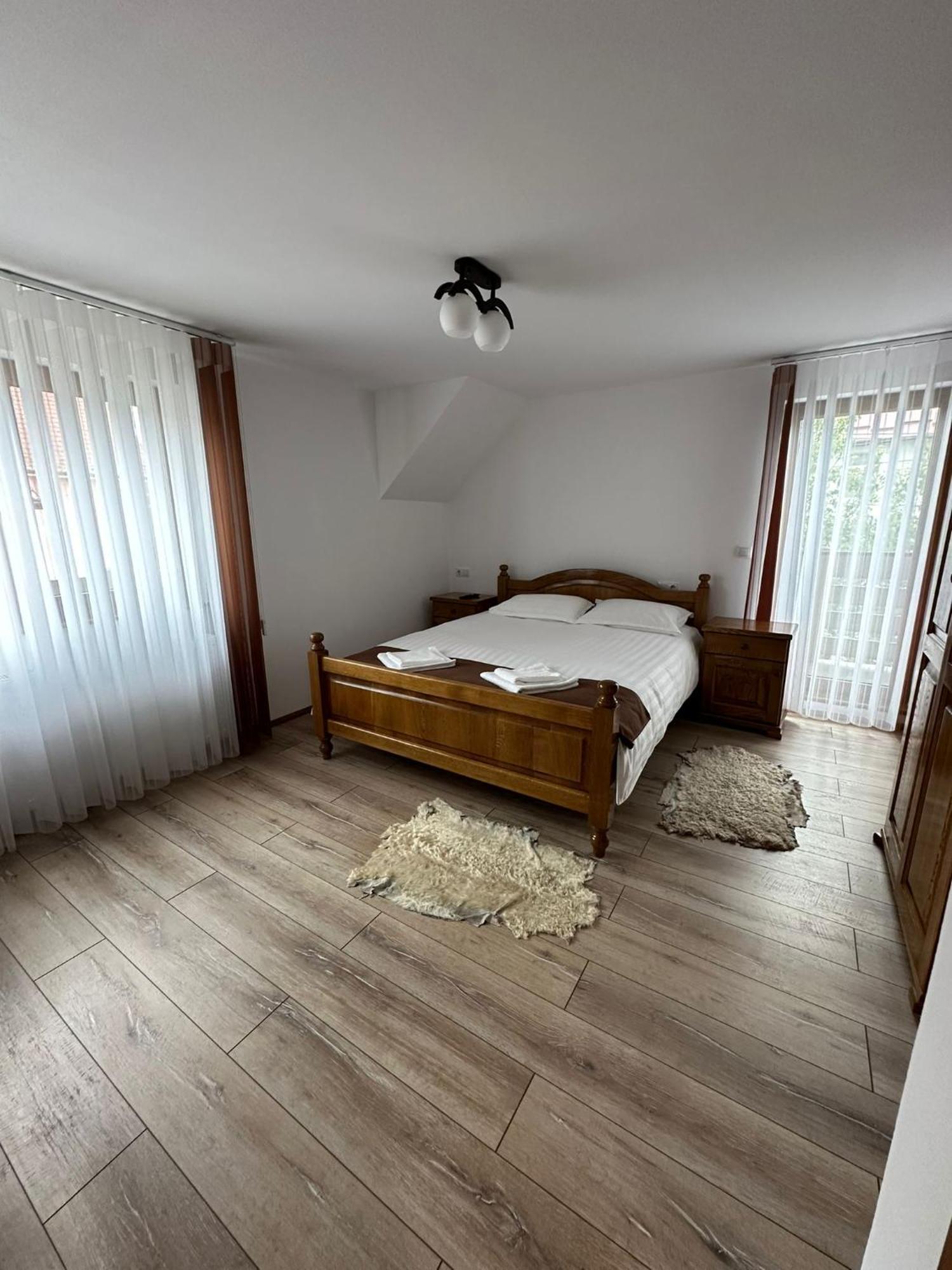 Hotel Casa Dacului à Petrova Extérieur photo