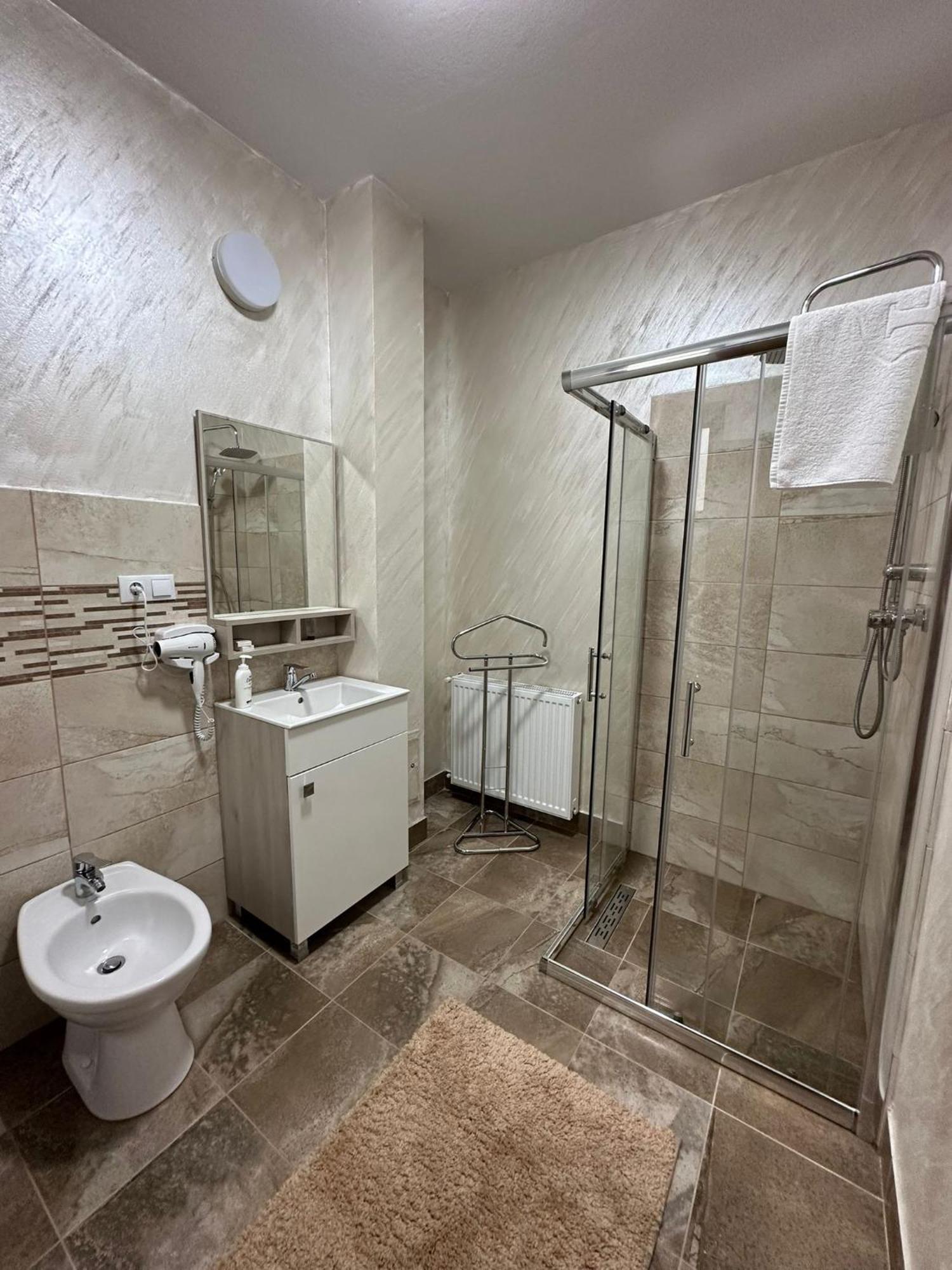 Hotel Casa Dacului à Petrova Extérieur photo